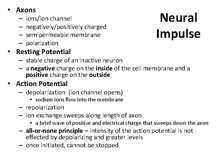  • Axons – – ions/ion channel negatively/positively charged semipermeable membrane polarization Neural Impulse