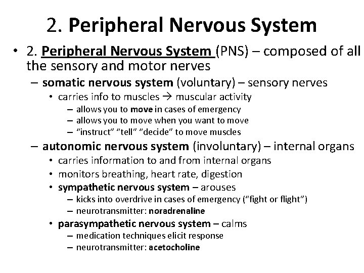 2. Peripheral Nervous System • 2. Peripheral Nervous System (PNS) – composed of all