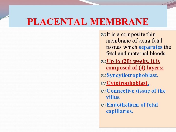 PLACENTAL MEMBRANE It is a composite thin membrane of extra fetal tissues which separates