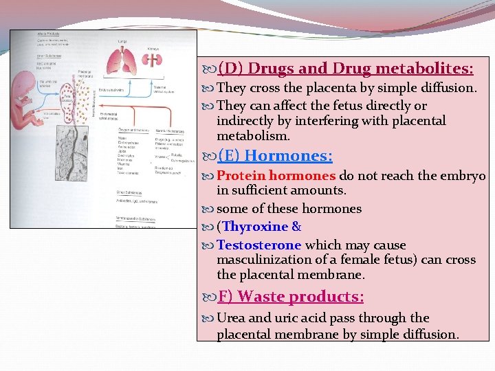  (D) Drugs and Drug metabolites: They cross the placenta by simple diffusion. They