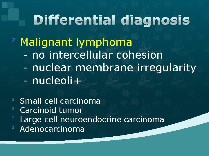 Differential diagnosis ² Malignant lymphoma - no intercellular cohesion - nuclear membrane irregularity -