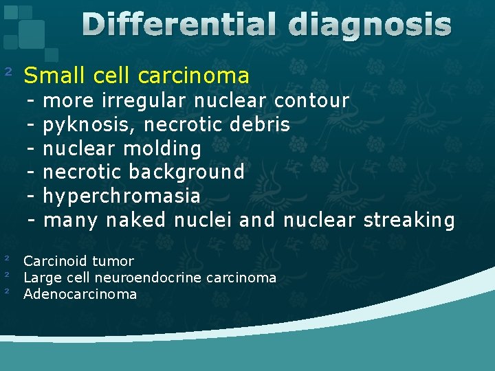 Differential diagnosis ² Small cell carcinoma - more irregular nuclear contour pyknosis, necrotic debris