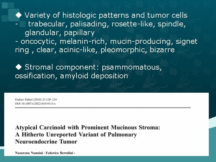 u Variety of histologic patterns and tumor cells - trabecular, palisading, rosette-like, spindle, glandular,