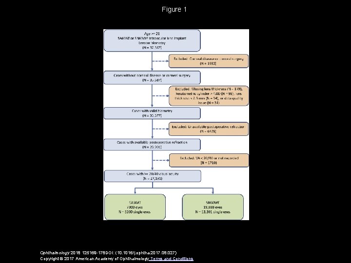 Figure 1 Ophthalmology 2018 125169 -178 DOI: (10. 1016/j. ophtha. 2017. 08. 027) Copyright