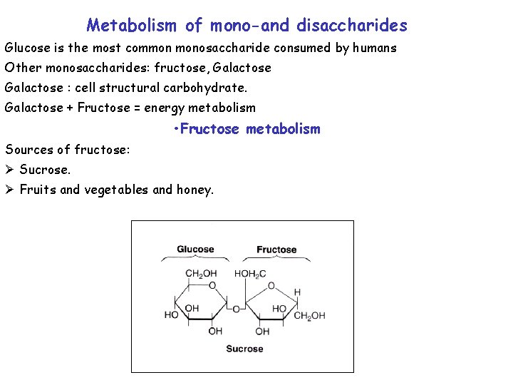 Metabolism of mono-and disaccharides Glucose is the most common monosaccharide consumed by humans Other