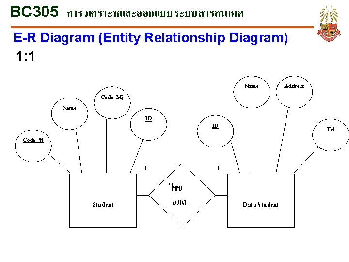 BC 305 การวเคราะหและออกแบบระบบสารสนเทศ E-R Diagram (Entity Relationship Diagram) 1: 1 Name Code_Mj ID ID