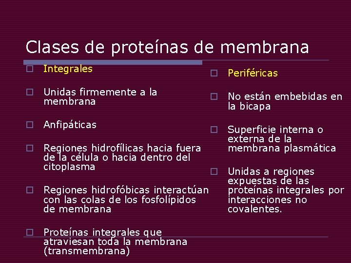 Clases de proteínas de membrana o Integrales o Periféricas o Unidas firmemente a la