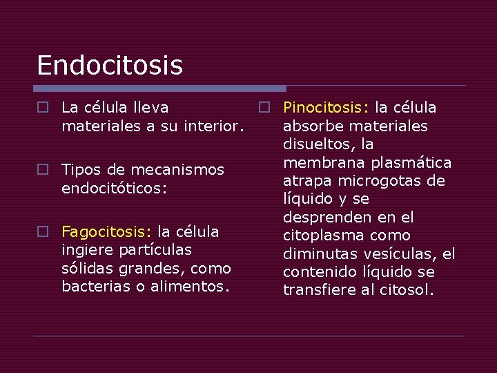 Endocitosis o La célula lleva o Pinocitosis: la célula materiales a su interior. absorbe