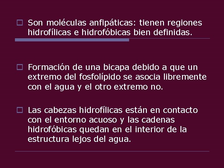 o Son moléculas anfipáticas: tienen regiones hidrofílicas e hidrofóbicas bien definidas. o Formación de