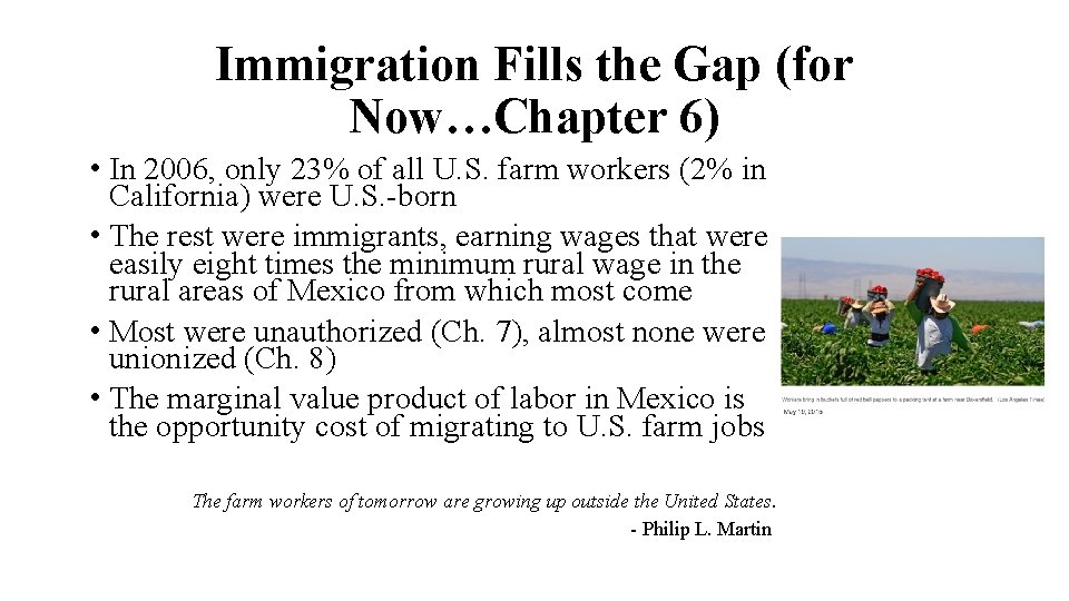 Immigration Fills the Gap (for Now…Chapter 6) • In 2006, only 23% of all