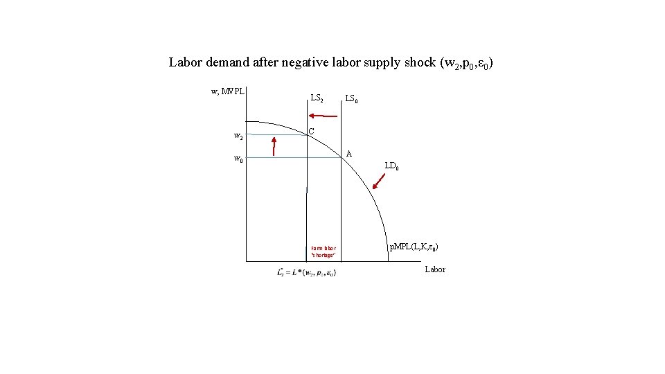 Labor demand after negative labor supply shock (w 2, p 0, ε 0) w,