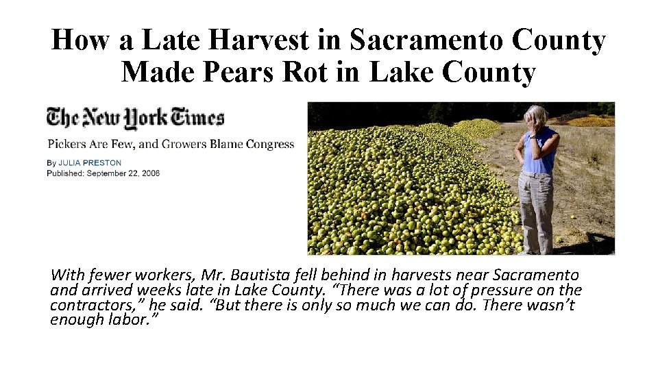 How a Late Harvest in Sacramento County Made Pears Rot in Lake County With