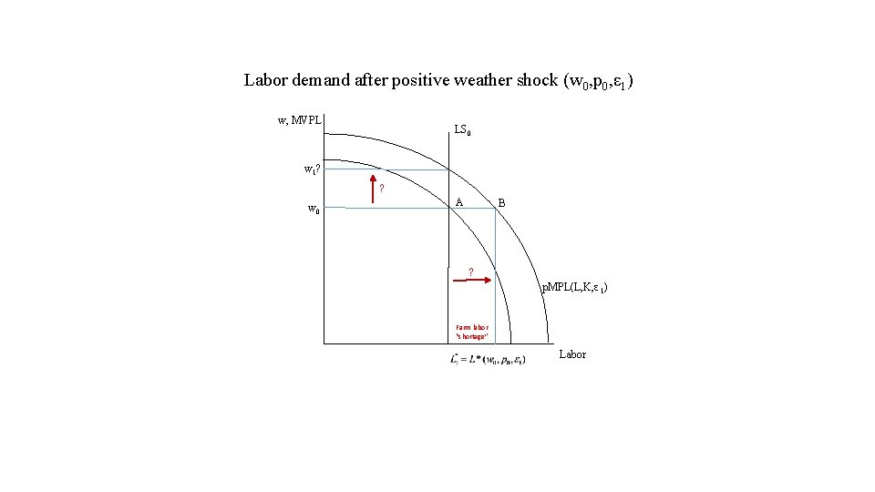 Labor demand after positive weather shock (w 0, p 0, ε 1) w, MVPL