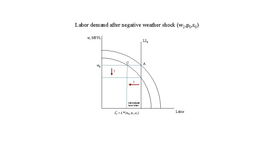 Labor demand after negative weather shock (w 2, p 0, ε 0) w, MVPL