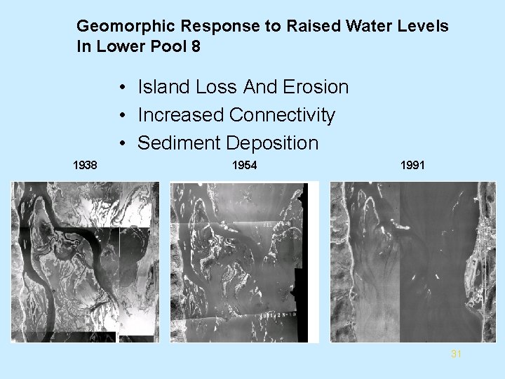 Geomorphic Response to Raised Water Levels In Lower Pool 8 • Island Loss And