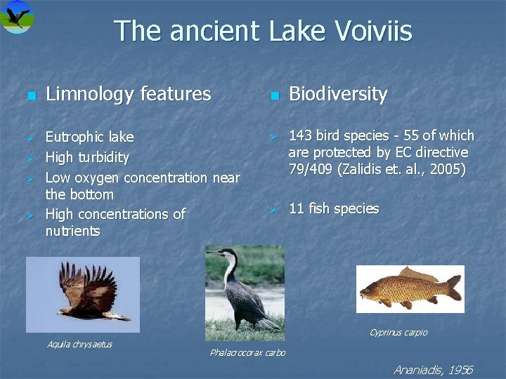 The ancient Lake Voiviis Ø Ø Limnology features Eutrophic lake High turbidity Low oxygen