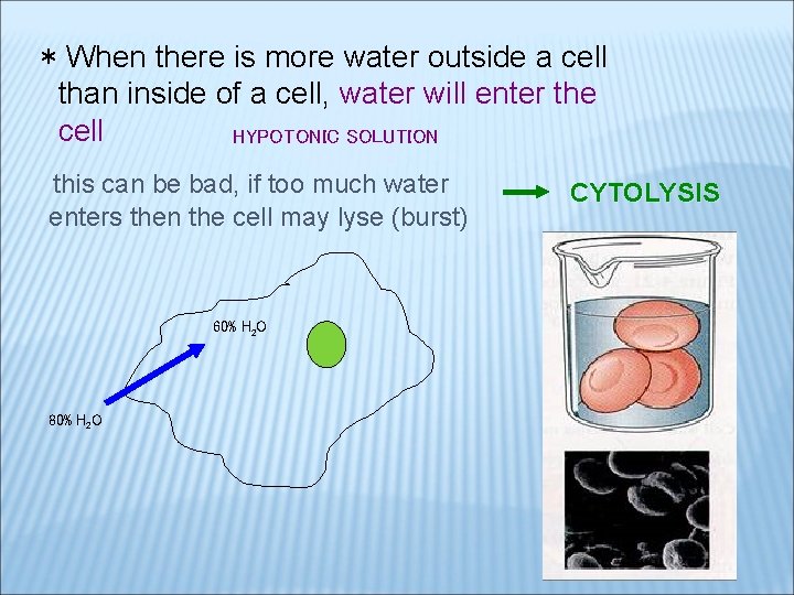 * When there is more water outside a cell than inside of a cell,