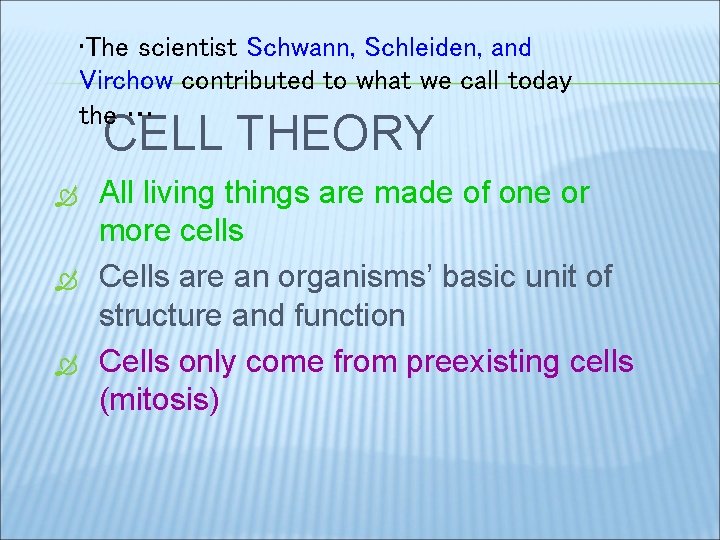  • The scientist Schwann, Schleiden, and Virchow contributed to what we call today