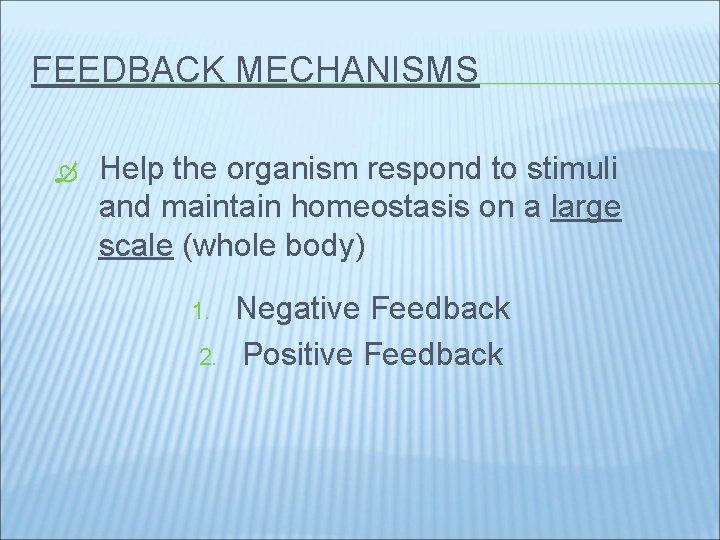 FEEDBACK MECHANISMS Help the organism respond to stimuli and maintain homeostasis on a large