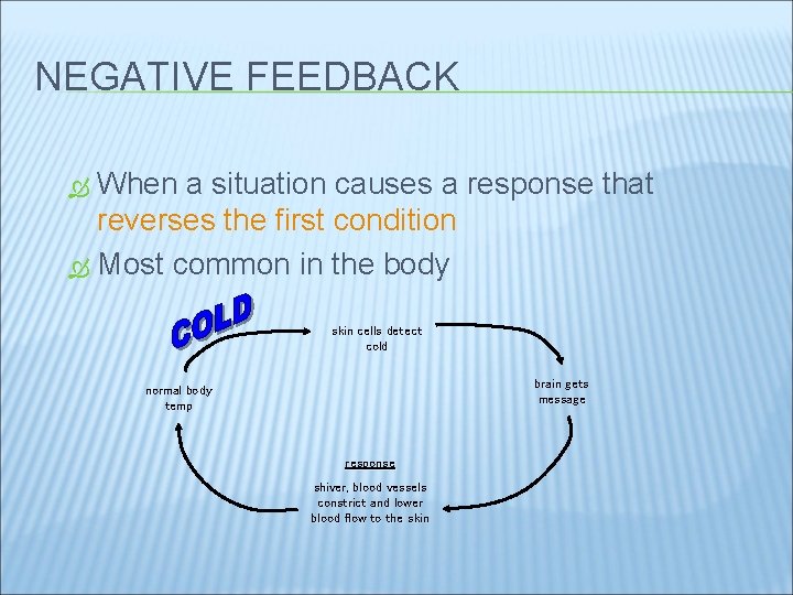 NEGATIVE FEEDBACK When a situation causes a response that reverses the first condition Most