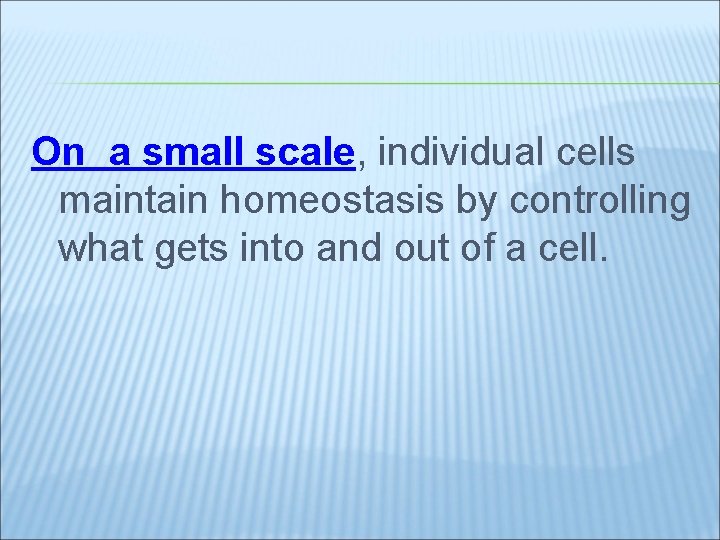 On a small scale, individual cells maintain homeostasis by controlling what gets into and