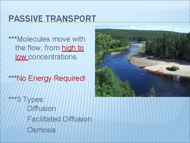 PASSIVE TRANSPORT ***Molecules move with the flow, from high to low concentrations. ***No Energy