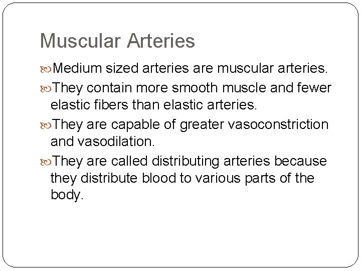 Muscular Arteries Medium sized arteries are muscular arteries. They contain more smooth muscle and Muscular Arteries Medium sized arteries are muscular arteries. They contain more smooth muscle and