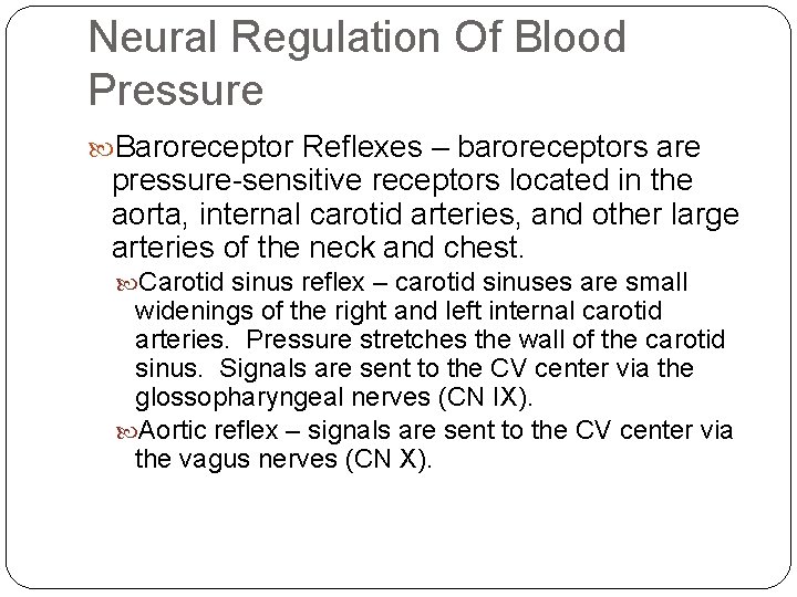 Neural Regulation Of Blood Pressure Baroreceptor Reflexes – baroreceptors are pressure-sensitive receptors located in