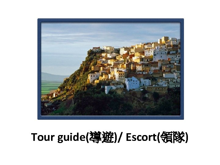 Tour guide(導遊)/ Escort(領隊) 