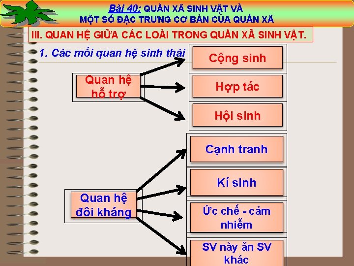 Bài 40: QUẦN XÃ SINH VẬT VÀ Bài 40: XÃ SINH VẬT VÀ MỘT