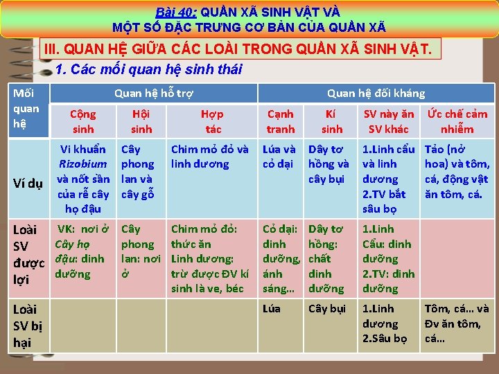 Bài 40: QUẦN XÃ SINH VẬT VÀ MỘT SỐ ĐẶC TRƯNG CƠ BẢN CỦA