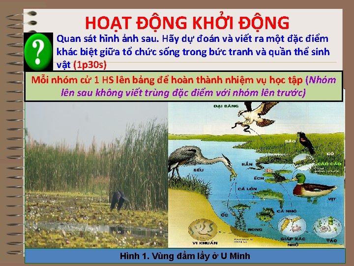 HOẠT ĐỘNG KHỞI ĐỘNG Quan sa t hi nh a nh sau. Hãy dự