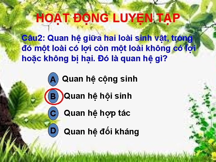 HOẠT ĐỘNG LUYỆN TẬP Câu 2: Quan hệ giữa hai loài sinh vật, trong