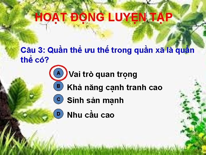 HOẠT ĐỘNG LUYỆN TẬP Câu 3: Quần thể ưu thế trong quần xã là