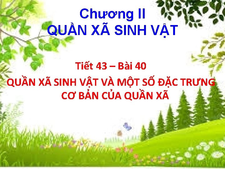 Chương II QUẦN XÃ SINH VẬT Tiết 43 – Bài 40 QUẦN XÃ SINH