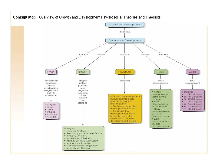 Concept Map Overview of Growth and Development Psychosocial Theories and Theorists 