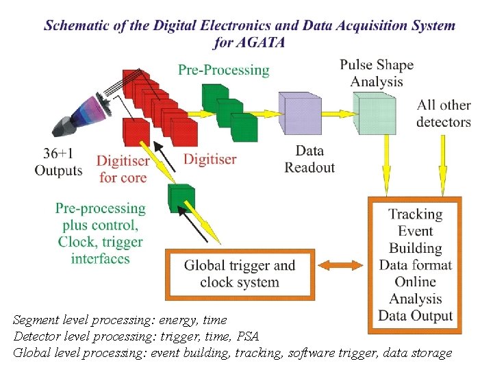 Segment level processing: energy, time Detector level processing: trigger, time, PSA Global level processing: