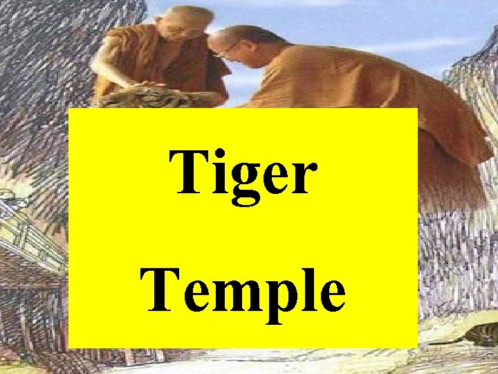 Tiger Temple 