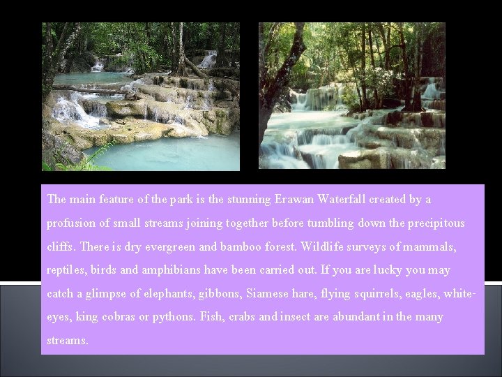 The main feature of the park is the stunning Erawan Waterfall created by a