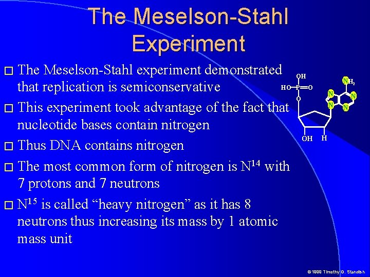 The Meselson-Stahl Experiment � The Meselson-Stahl experiment demonstrated HO that replication is semiconservative �