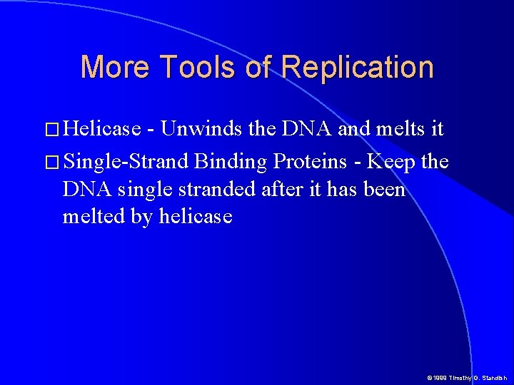 More Tools of Replication � Helicase - Unwinds the DNA and melts it �