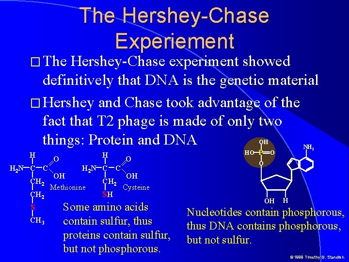 � The Hershey-Chase Experiement Hershey-Chase experiment showed definitively that DNA is the genetic material