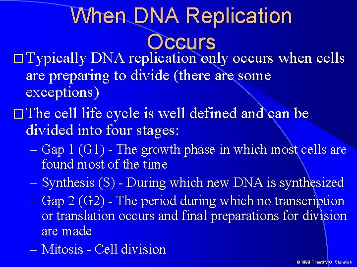 When DNA Replication Occurs � Typically DNA replication only occurs when cells are preparing