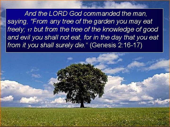 And the LORD God commanded the man, saying, "From any tree of the garden