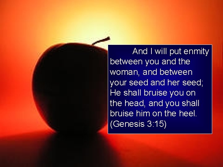 And I will put enmity between you and the woman, and between your seed