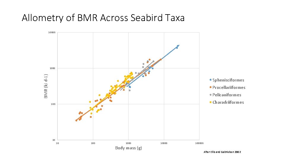 Allometry of BMR Across Seabird Taxa 10000 BMR (k. J d-1) 1000 Sphenisciformes Procellariiformes