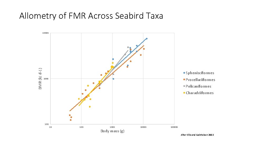 Allometry of FMR Across Seabird Taxa BMR (k. J d-1) 10000 Sphenisciformes Procellariiformes 1000