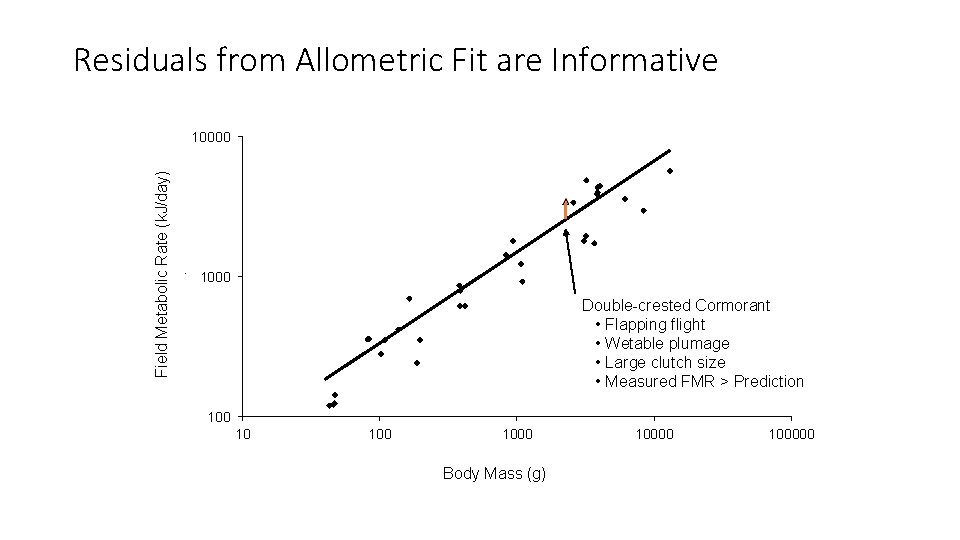 Residuals from Allometric Fit are Informative Field Metabolic Rate (k. J/day). 10000 1000 Double-crested