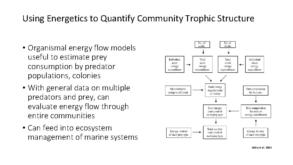 Using Energetics to Quantify Community Trophic Structure • Organismal energy flow models useful to