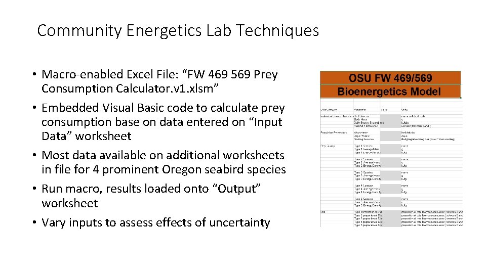 Community Energetics Lab Techniques • Macro-enabled Excel File: “FW 469 569 Prey Consumption Calculator.